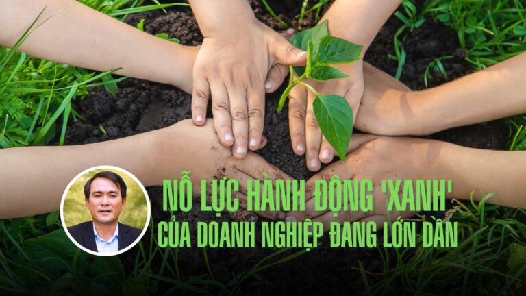 no-luc-hanh-dong-xanh-cua-doanh-nghiep-dang-lon-dan