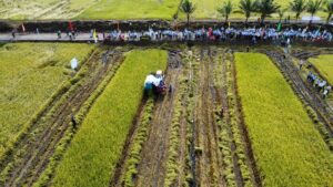 dji_fly_20240904_082430_48_1725438487530_photo_optimized