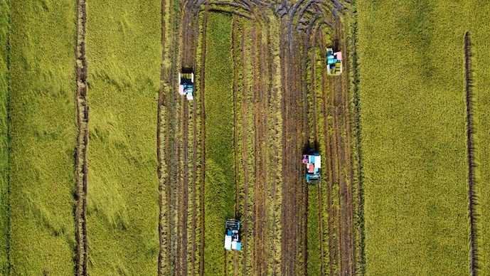 dji_fly_20240904_082742_56_1725438417647_photo_optimized